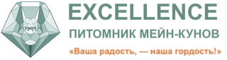 Питомник мейн-кунов Excellence*RU