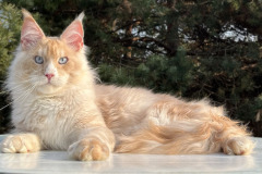 sebastian